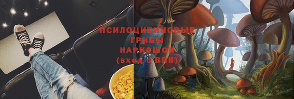 дурь Богданович