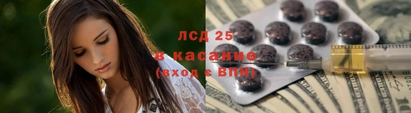 дурь Богданович