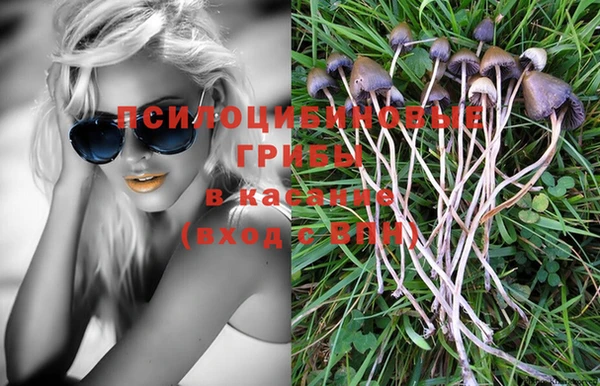 эйфоретик Беломорск
